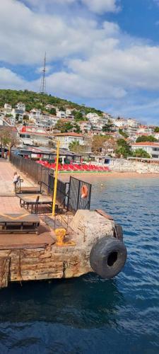 20250915_095938Resized